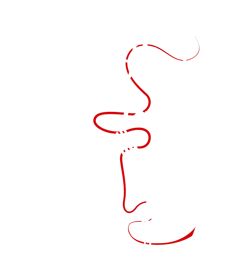 Kassidy's Studio Lounge logo